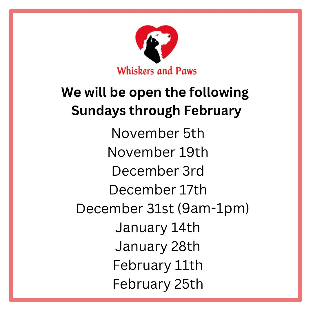 Veterinarian in Concord, NC Whiskers and Paws Veterinary Wellness